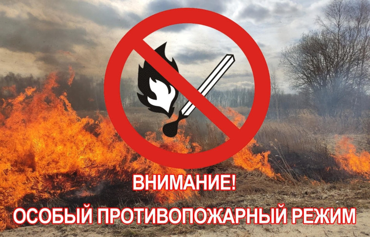 Указом Губернатора Ивановской области Воскресенским С.С. от 21.03.2025 № 17-р с 25 апреля на территории региона вводится особый противопожарный режим, на период действия которого устанавливаются дополнительные меры пожарной безопасности.