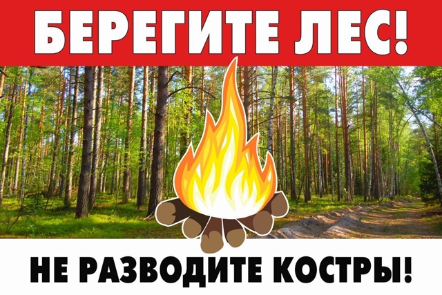 Не дайте искре стать пожаром! Берегите лес – наше богатство!.