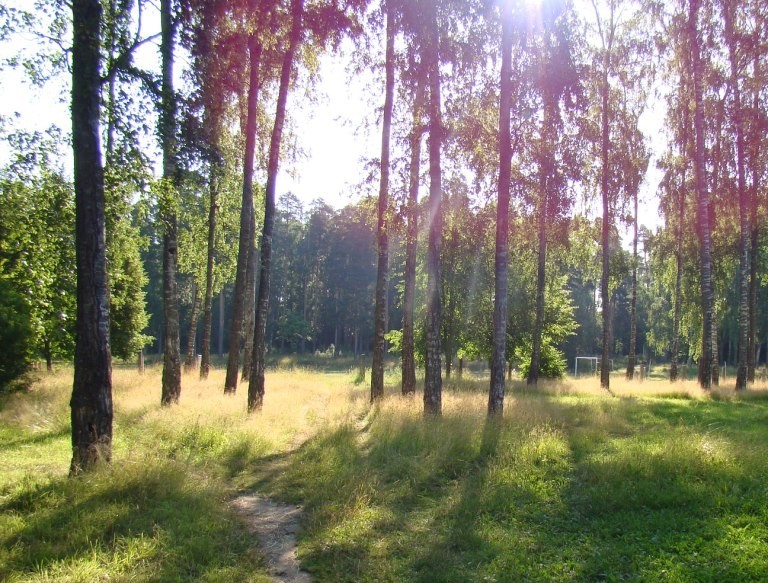 Жители Каменки голосуют за благоустройство парка.