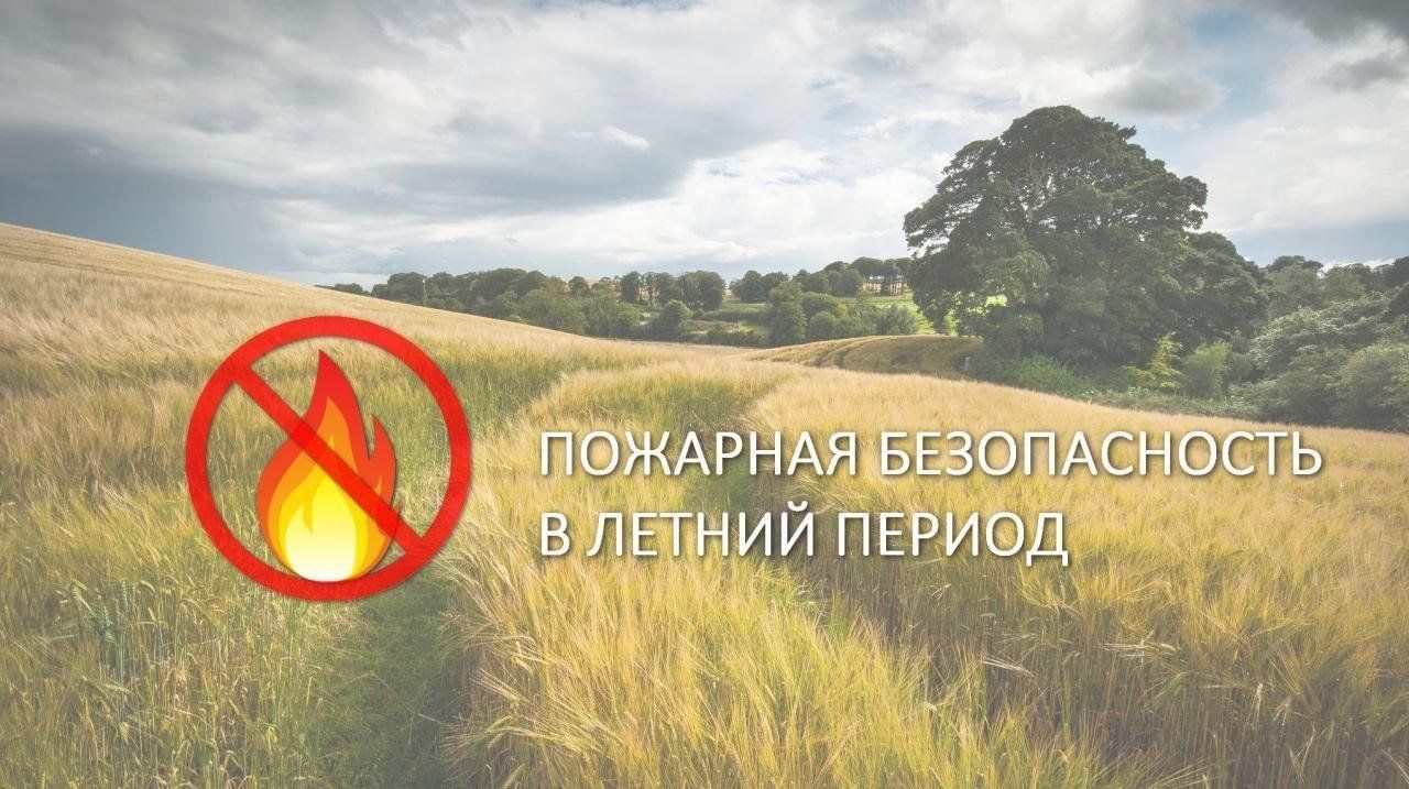 Некоторые правила пожарной безопасности летом.