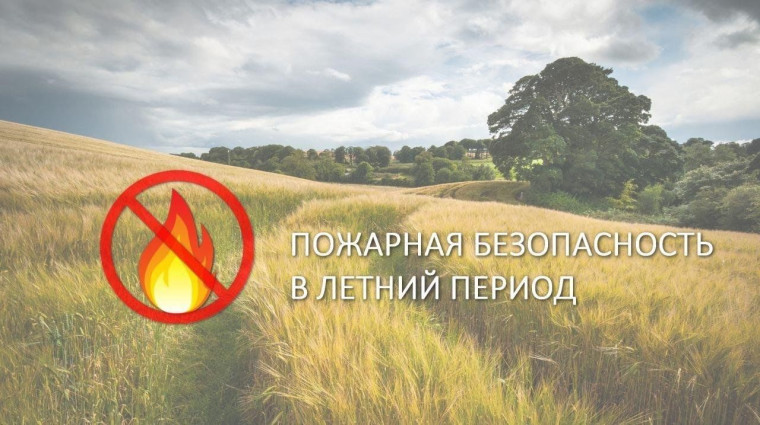 Некоторые правила пожарной безопасности летом. Некоторые правила пожарной безопасности летом.