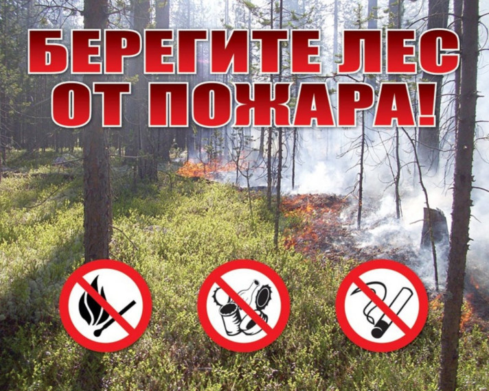 Внимание! Как не допустить лесных пожаров!. Внимание! Как не допустить лесных пожаров!.